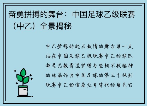 奋勇拼搏的舞台：中国足球乙级联赛（中乙）全景揭秘