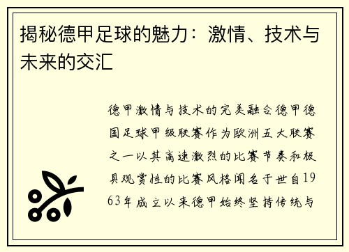 揭秘德甲足球的魅力：激情、技术与未来的交汇